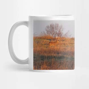 Buck on Hillside - White-tailed deer Mug